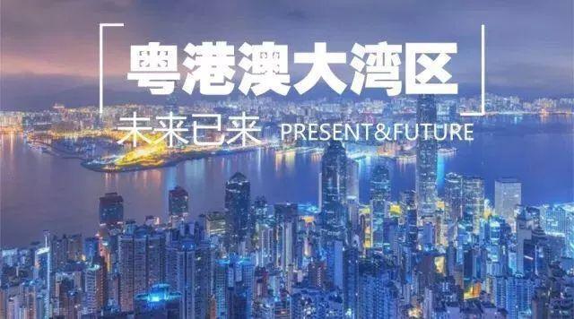 2025年新澳门和香港2025年正版资料免费大全：全面释义、专家解析解释与落实与警惕虚假宣传 解析与释义